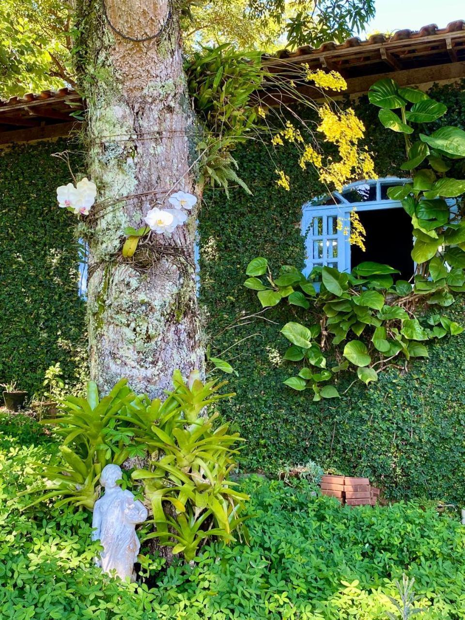 Pousada Casa Do Ipe Amarelo Miguel Pereira Exterior photo